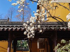 -龙华寺