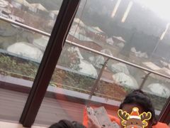 -重庆南山海昌汤都