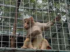 -北京鹿世界主题园