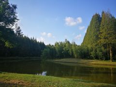 -黄海国家森林公园