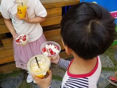 -田园东方蜜桃村的田野营地