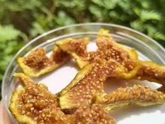 -新塘水果乐园(东洲大道店)