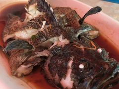 清蒸老虎石斑鱼-范饭椰林川湘味海鲜·椰子鸡(三亚湾椰梦长廊店)