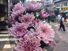 -溪岸路花鸟市场