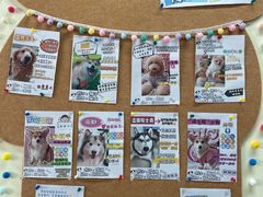 -汪说·狗咖(旺城大厦店)