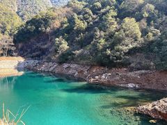 -大奇山国家森林公园