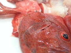 红果子斑-郑厨私房菜