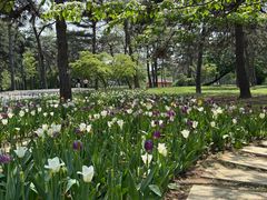 -沈阳植物园