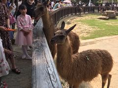 -上方山森林动物世界