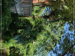 -上海佘山国家森林公园西佘山园