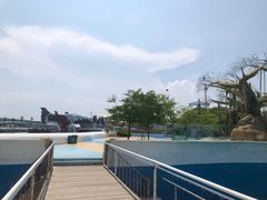 -秦皇岛乐岛海洋王国