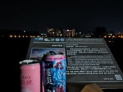 -洱海月湿地公园