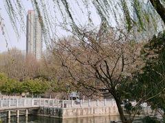 -后襄河公园