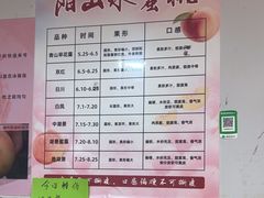 -老袁家蜜桃农场·阳山水蜜桃