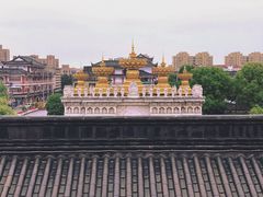 -上海东林寺(金山区)
