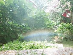 -月亮眼花园餐厅书吧酒吧