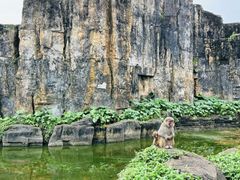 -海南热带野生动植物园