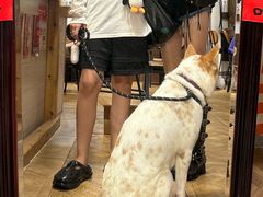 -LOOKA COFFEE(大鹏所城店)