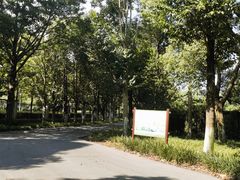 -凤凰沟景区