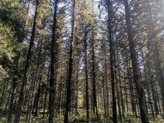 -硗碛藏寨·神木垒景区