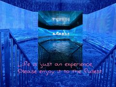 -水榭兰亭(奉贤浦兰路)