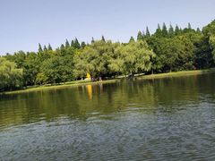 -共青国家森林公园-售票处