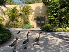 -广州锦绣香江度假别墅