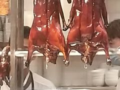 -裕.鹅庄