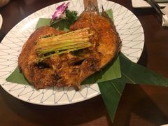 -紫滇源云南生态菜(丹凤街店)
