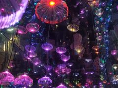 -梵高星空艺术馆(北京旗舰店)