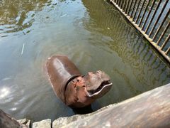 -海南热带野生动植物园