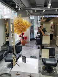 -M Hair造型