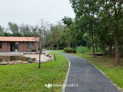 -溱湖国家湿地公园