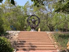 -广东惠东海龟国家级自然保护区