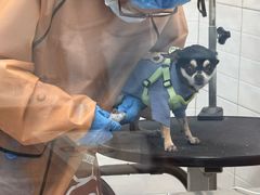 -达爱动物医院·犬猫分区·CT·复杂眼科(远洋山水分院)