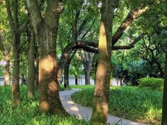 -荔香公园