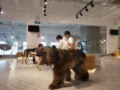 -赢吧Bliss音乐酒吧