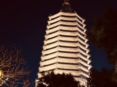 -古塔公园