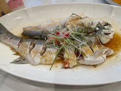 清蒸白丝鱼-状元楼(金溪路店)
