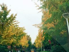 -陕西师范大学(雁塔校区)