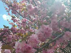 鸭肠-常德原味鸭霸王(燕山街店)