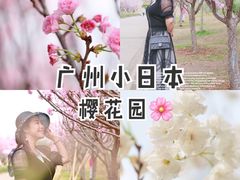 -天适樱花悠乐园