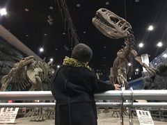-吉林省自然博物馆