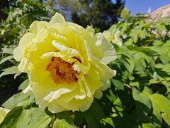 -国家植物园南园