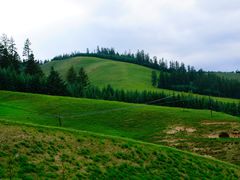 -扁都口生态休闲旅游区