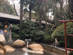 -西安国际创新人才交流中心•药浴温泉
