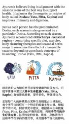 -Just Yoga 瑜伽·阿育吠陀