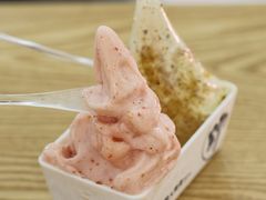 山楂-野人先生Gelato(上海长宁龙之梦店)