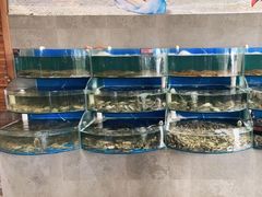 -蓝珊甄选海鲜自助·火锅大排档(近阿那亚店)