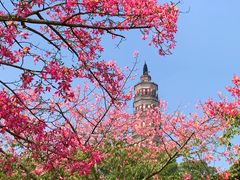 -顺峰山公园
